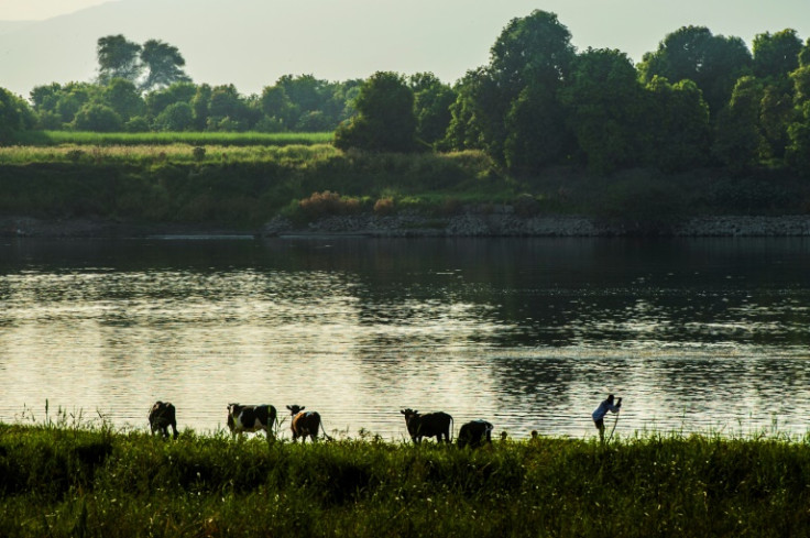 O Nilo aparentemente atemporal está sob ameaça das mudanças climáticas e da intervenção humana