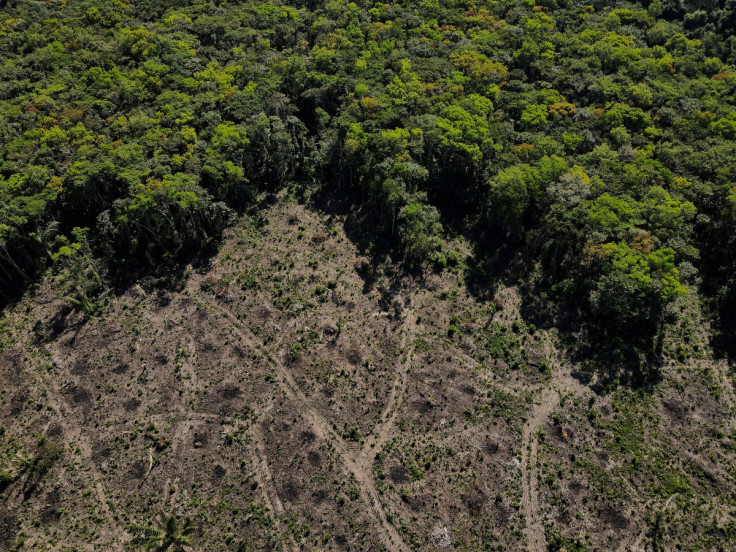 Uma vista aérea mostra um terreno desmatado da floresta amazônica em Manaus