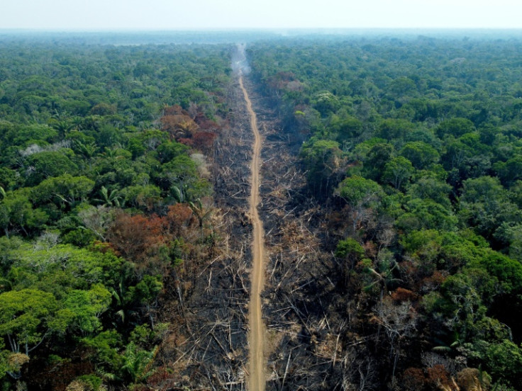 Até agora, este ano, quase 9.500 quilômetros quadrados (2,3 milhões de acres) da floresta amazônica foram destruídos, em comparação com 9.200 quilômetros quadrados em 2021