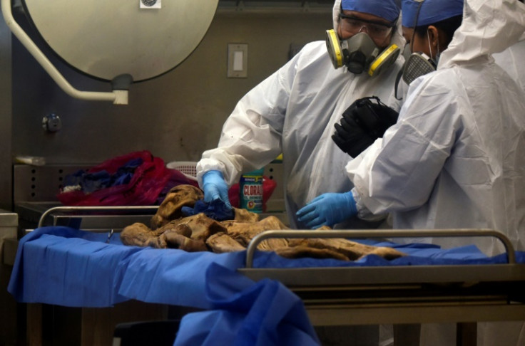 Peritos forenses coletam amostras de um esqueleto humano para estudos de DNA no sul do México