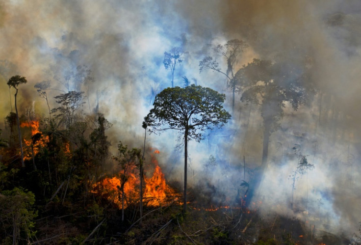 O desmatamento na Amazônia brasileira destruiu uma área maior que o Catar nos 12 meses até julho de 2022, segundo dados oficiais, que mostraram uma queda em relação ao ano anterior - mas um aumento acentuado no governo Jair Bolsonaro