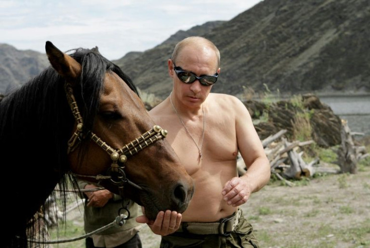 Que homem: o primeiro-ministro russo, Vladimir Putin, em uma de suas famosas poses de peito nu da Sibéria em 2009