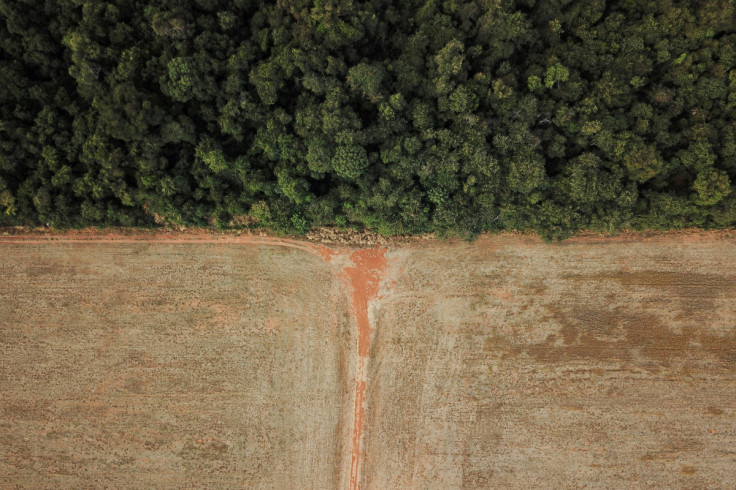Fronteira entre a Amazônia e o Cerrado