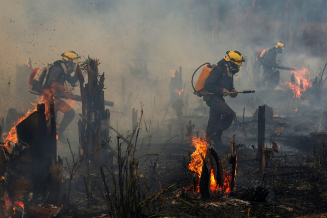 Para o MapBiomas, o aumento no número de incêndios em novembro de 2022 foi uma surpresa - o mês geralmente coincide com a estação chuvosa