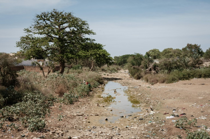 Somália enfrenta sua pior seca em 40 anos