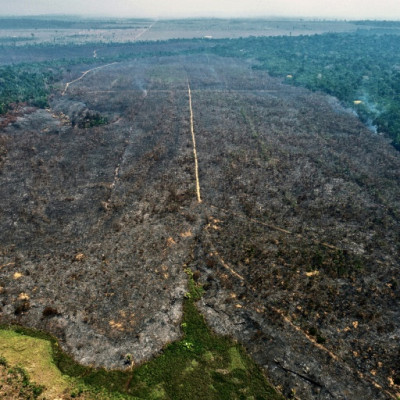 Os investigadores concluíram que o incêndio, iniciado em 3 de setembro, foi criminoso, segundo laudo pericial do órgão ambiental federal ICMBio