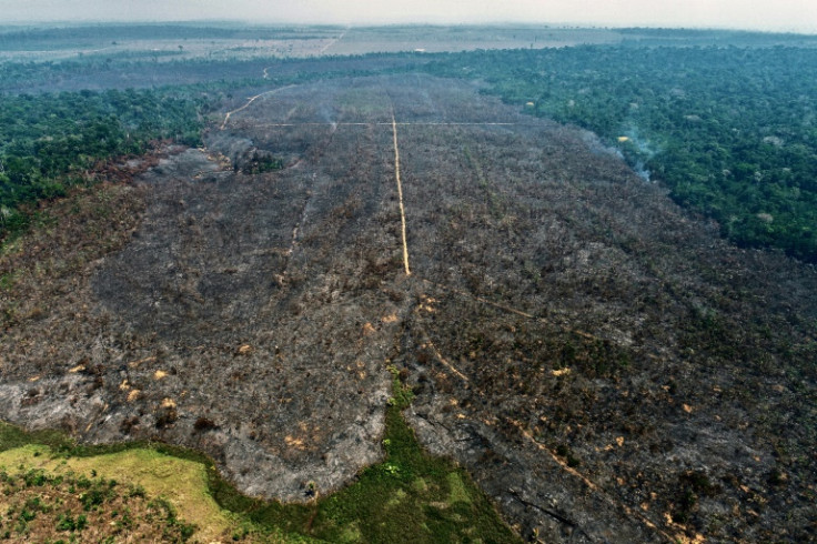 Os investigadores concluíram que o incêndio, iniciado em 3 de setembro, foi criminoso, segundo laudo pericial do órgão ambiental federal ICMBio