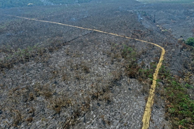 Ativistas e autoridades dizem que a área foi incendiada por grileiros que tentavam recuperar o território para pastagens de gado.