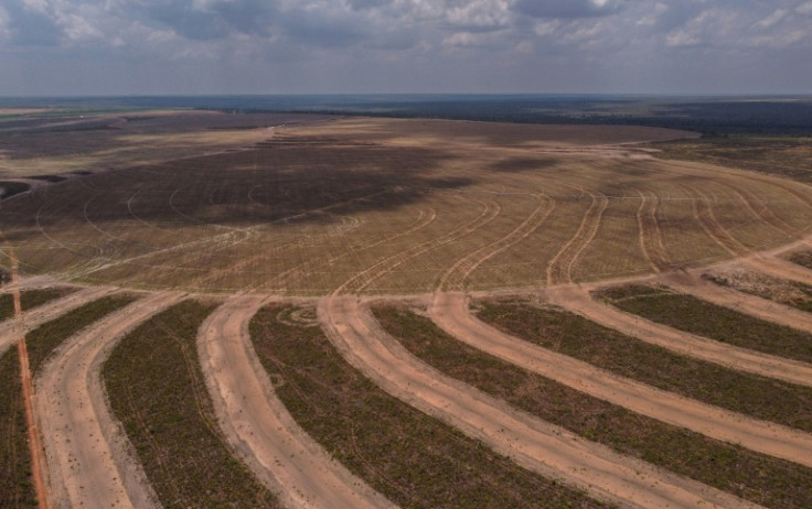 Vista aérea de campos agrícolas, em São Desidério, oeste do estado da Bahia, Brasil, tirada em 29 de setembro de 2023